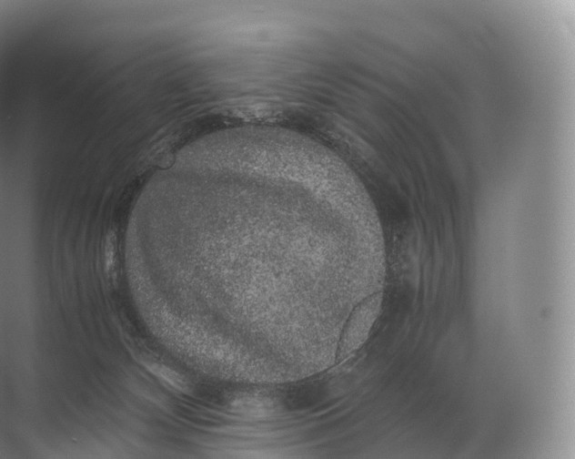 X0000071780132200607150105