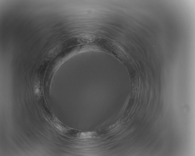 X0000071780134200607150105