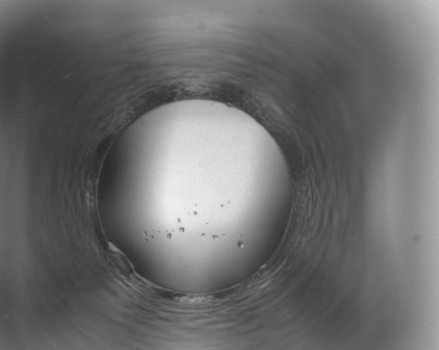 X0000071780135200607150105