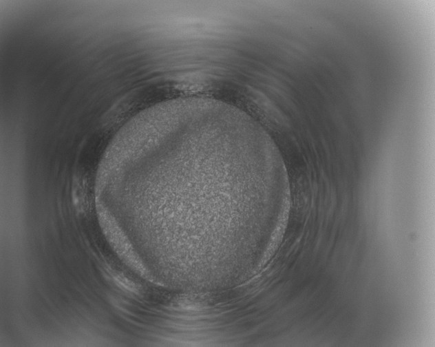 X0000071780136200607150105