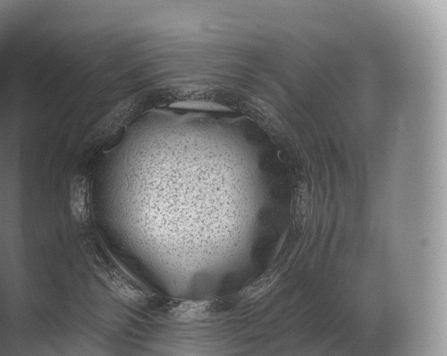 X0000071780138200607150104