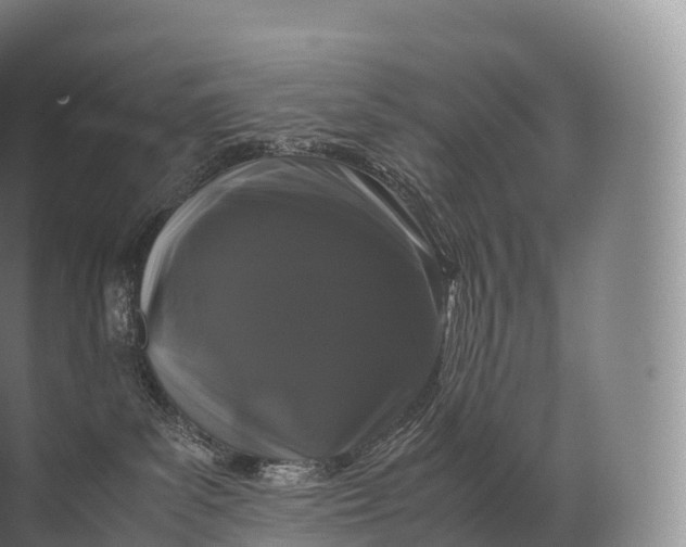 X0000071780139200607150104