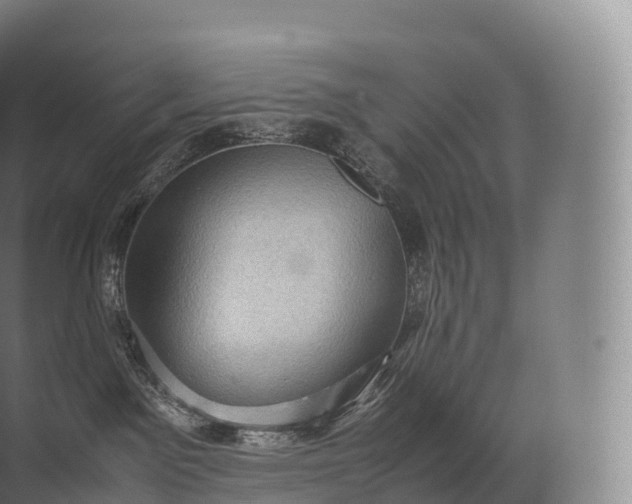 X0000071780141200607150104