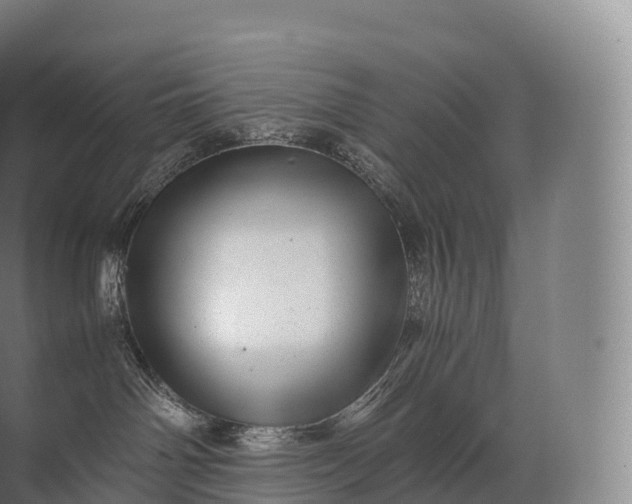 X0000071780142200607150104