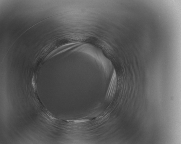 X0000071780143200607150104