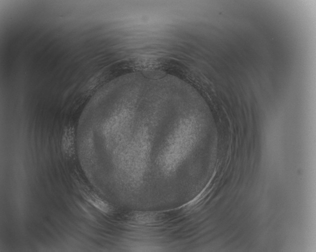 X0000071780144200607150104