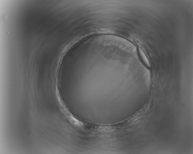 X0000071780145200607150104