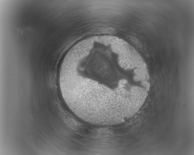 X0000071780146200607150104