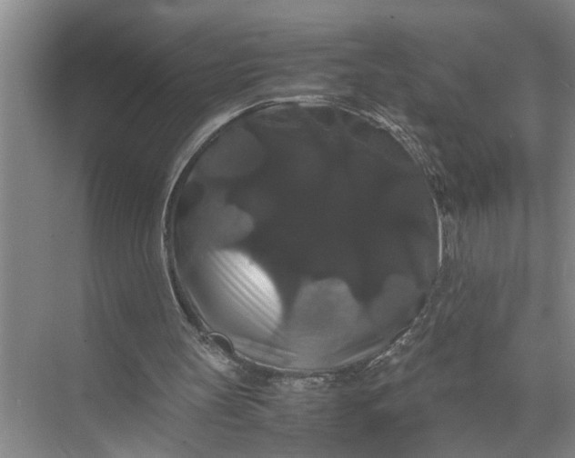 X0000071780147200607150104