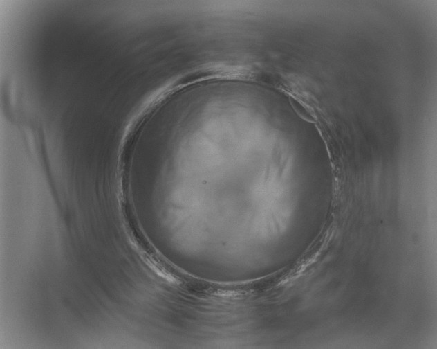 X0000071780149200607150104