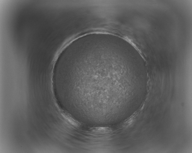 X0000071780151200607150104