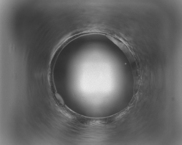 X0000071780152200607150104