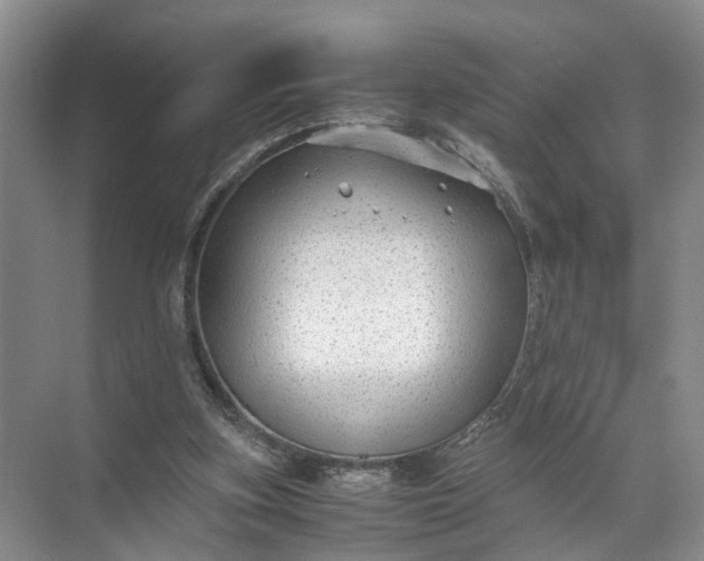 X0000071780155200607150104