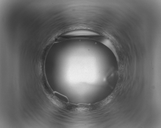 X0000071780158200607150104