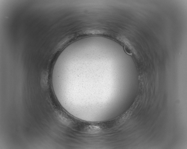 X0000071780159200607150104