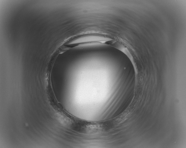 X0000071780160200607150104