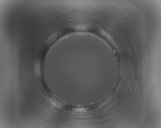 X0000071780161200607150104