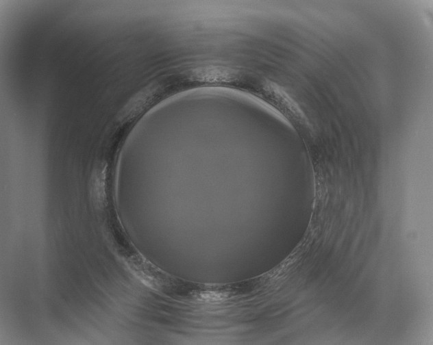 X0000071780163200607150104