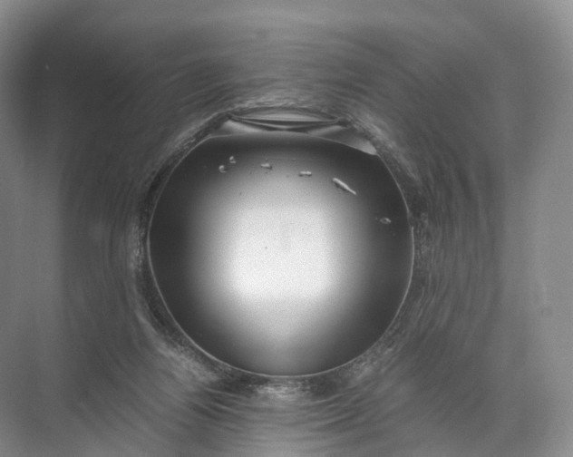 X0000071780164200607150104