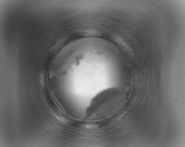 X0000071780165200607150104