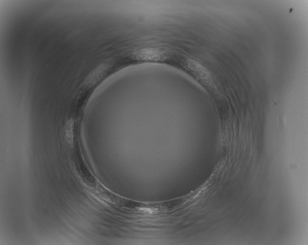 X0000071780167200607150104