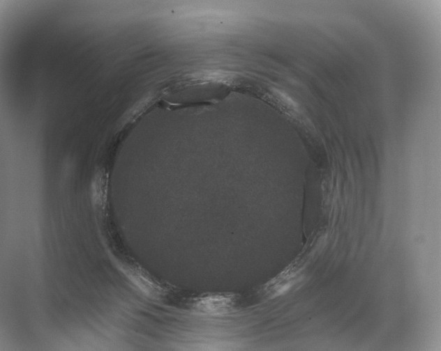 X0000071780168200607150104