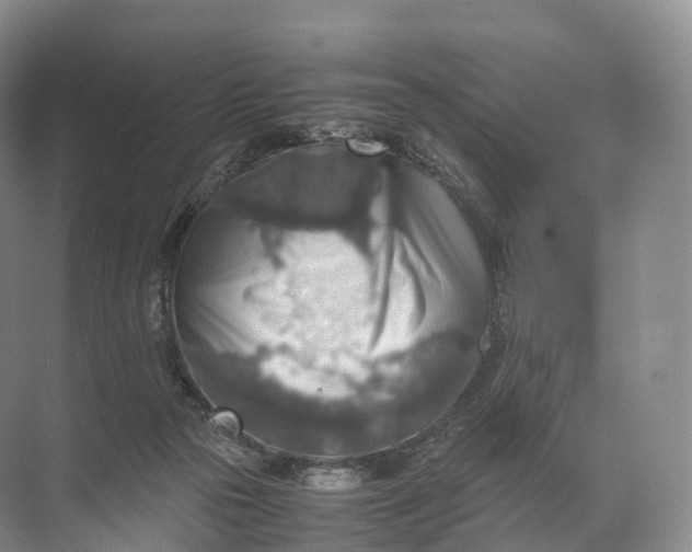 X0000071780169200607150104