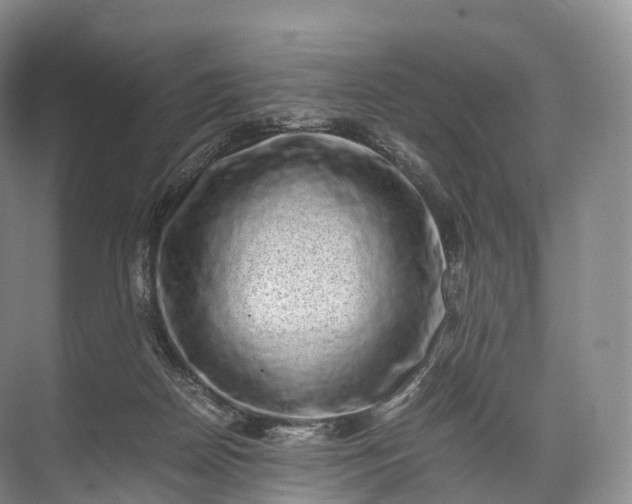 X0000071780170200607150104