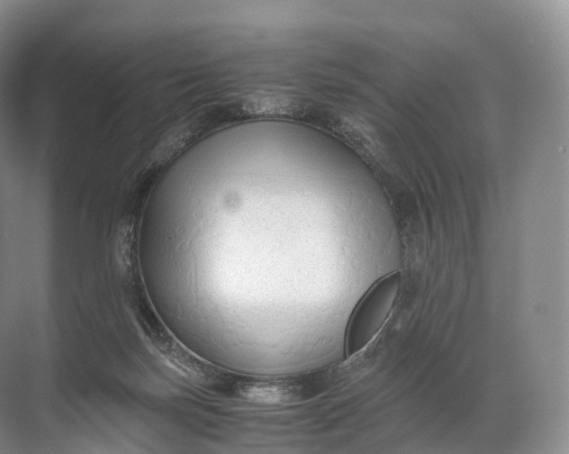 X0000071780171200607150104