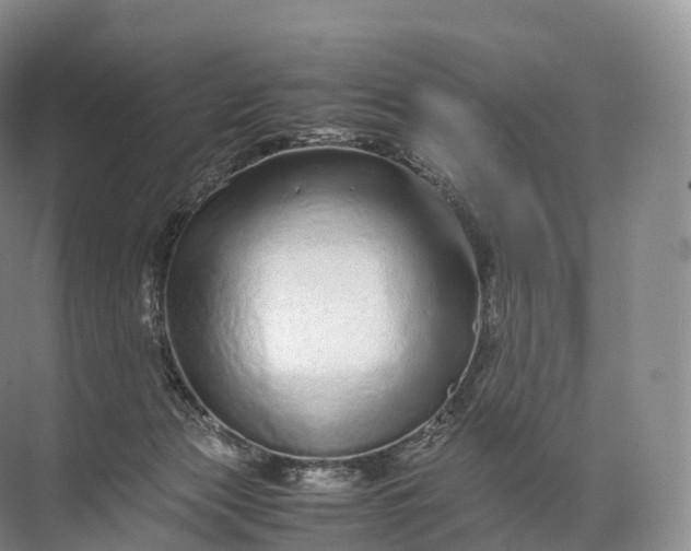 X0000071780173200607150104