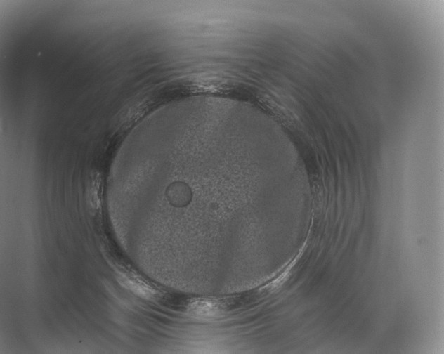 X0000071780174200607150104