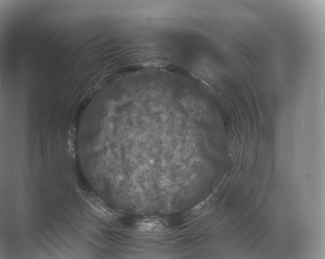 X0000071780175200607150104