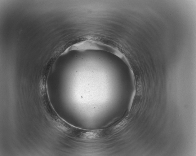 X0000071780176200607150104