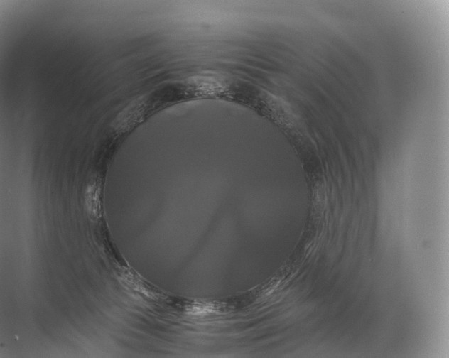 X0000071780177200607150104