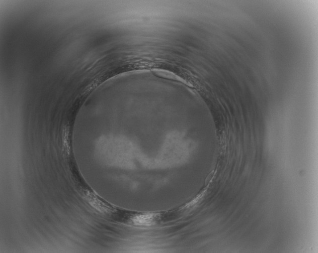 X0000071780178200607150104