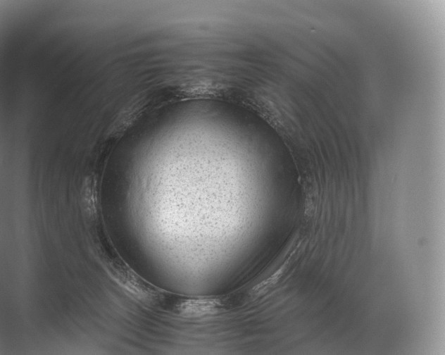 X0000071780179200607150104