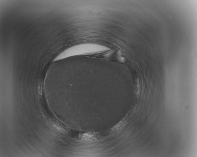 X0000071780180200607150104