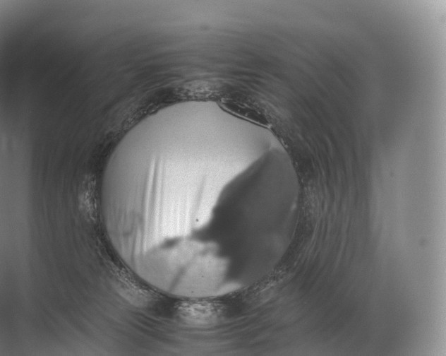 X0000071780181200607150104