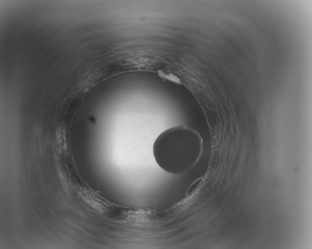 X0000071780182200607150104