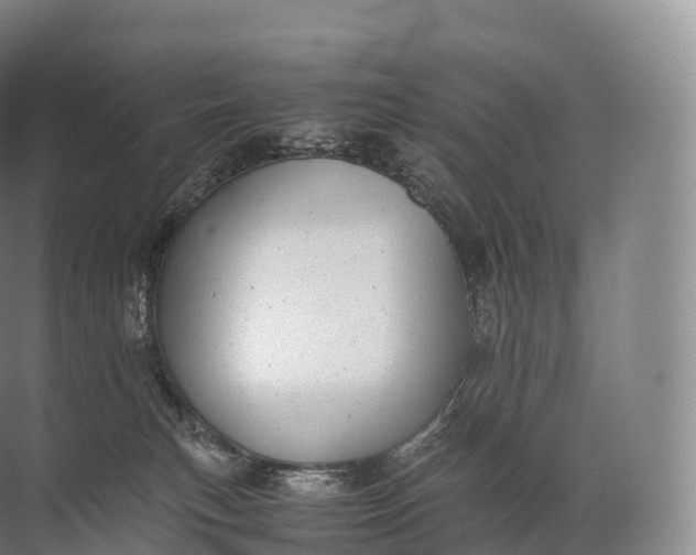 X0000071780183200607150104