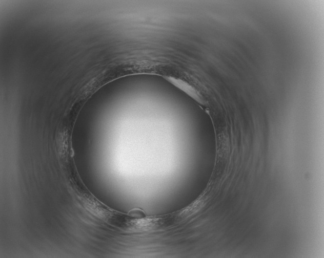 X0000071780184200607150104