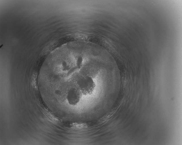 X0000071780185200607150104