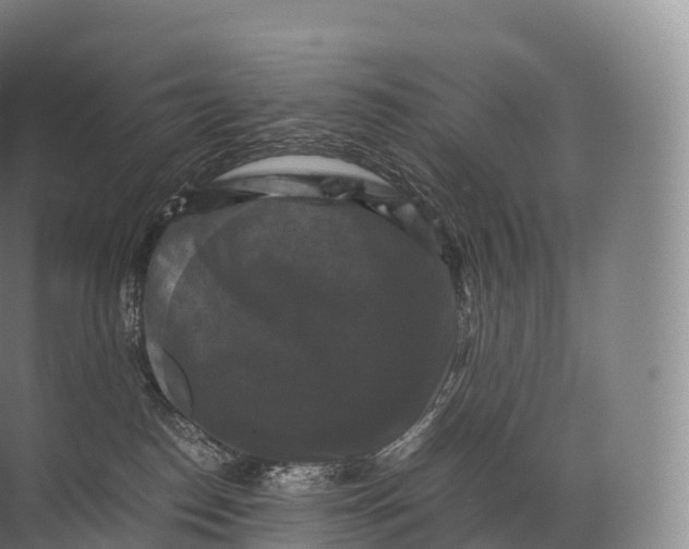 X0000071780186200607150104