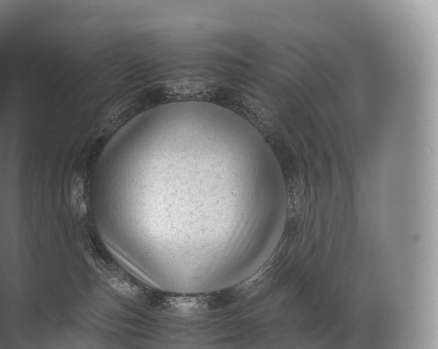 X0000071780187200607150104