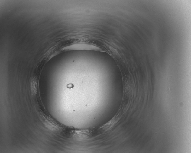 X0000071780188200607150104