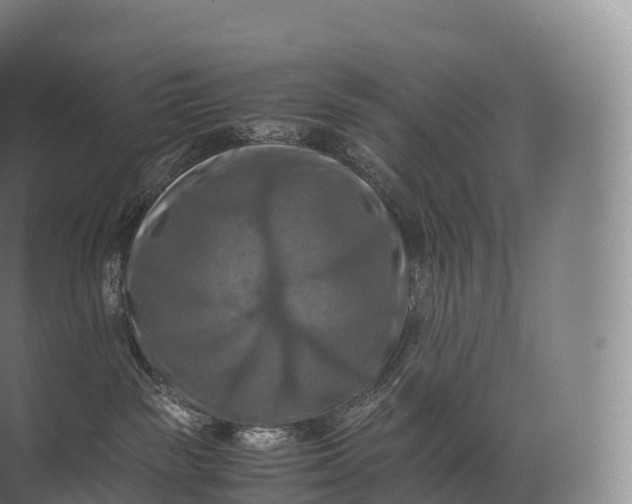 X0000071780189200607150104