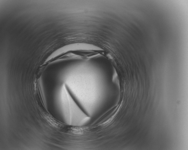 X0000071780190200607150104