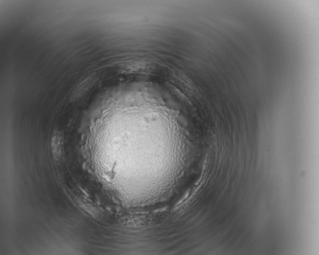 X0000071780191200607150104