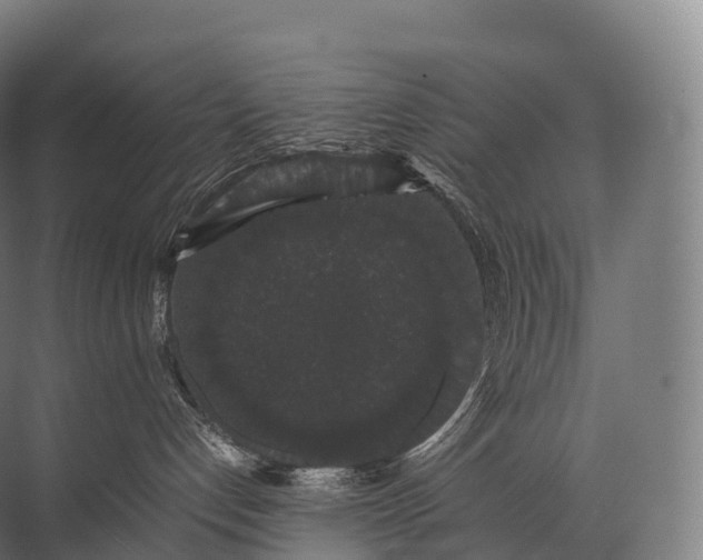 X0000071780192200607150104