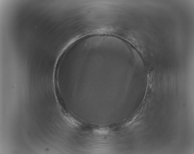 X0000071780196200607150104